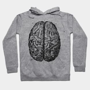 Brain! Hoodie